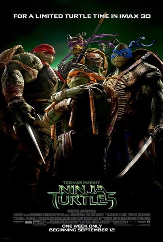 Les tortues ninja: Une experience IMAX 3D