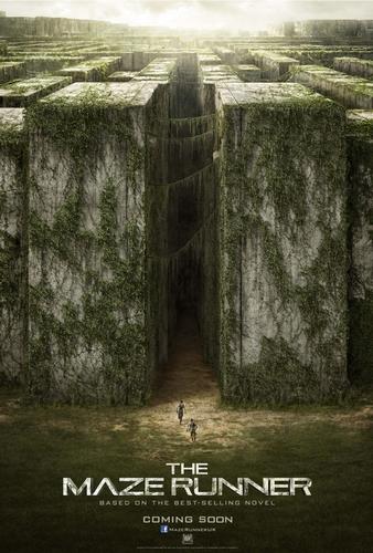 L'Épreuve: Le Labyrinthe : Une experience IMAX