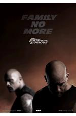 The Fate of The Furious