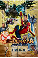 Spider-Man: Les Retrouvailles - L'expérience IMAX 3D