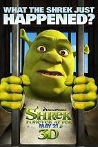 Shrek Il était une fin 3D