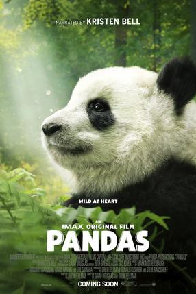 Pandas - L'expérience IMAX