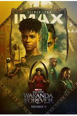 Black Panther: Wakanda Forever - The IMAX Experience