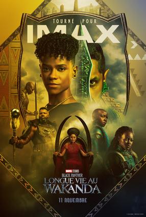 Black Panther: Longue vie au Wakanda - L'expérience IMAX 3D